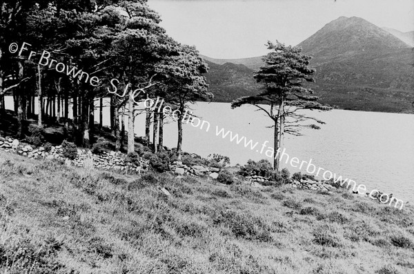 LOUGH ACOOSE FROM W. END